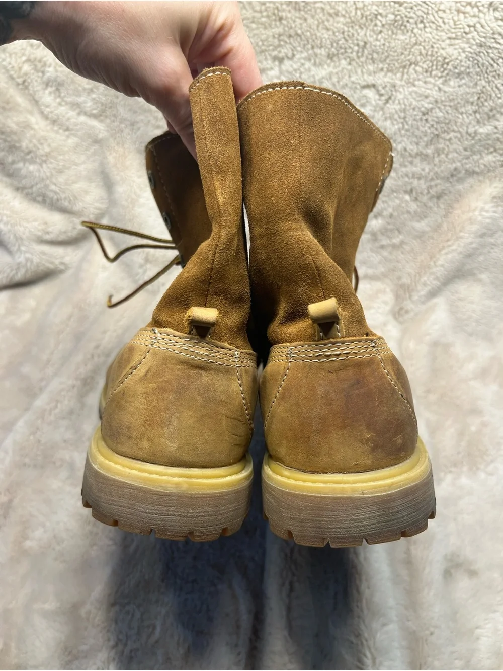 Timberland classic lace